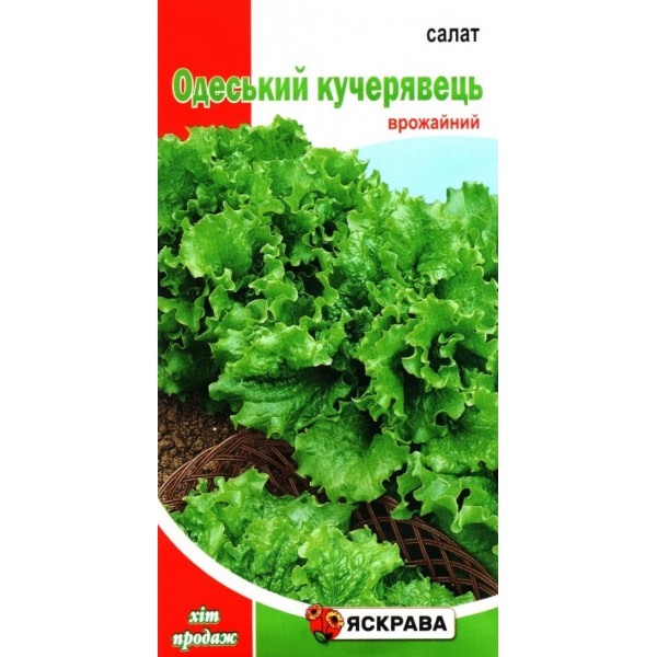 Насіння салату Одеський Кучерявець, 2г, ТМ Яскрава